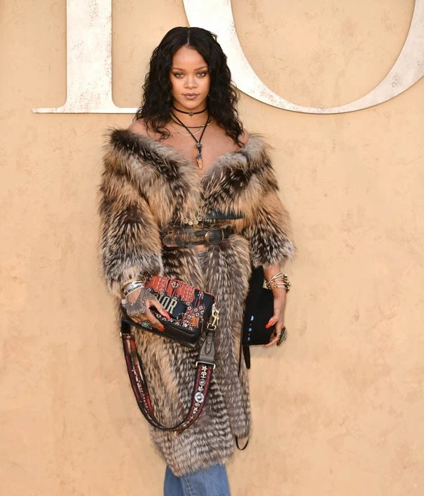 Rihanna Stuns at Christian Dior Cruise 2018 Runway Show